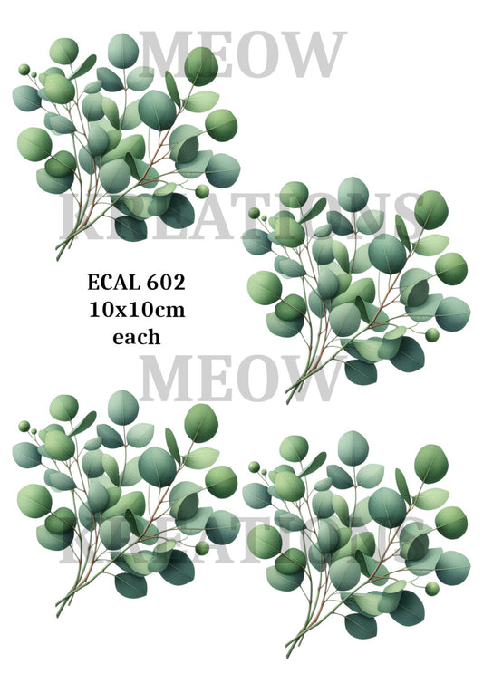 ECAL 602