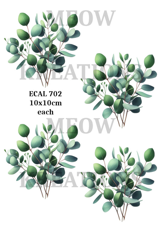 ECAL 702