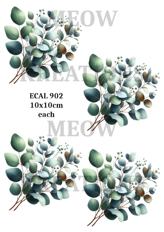 ECAL 902