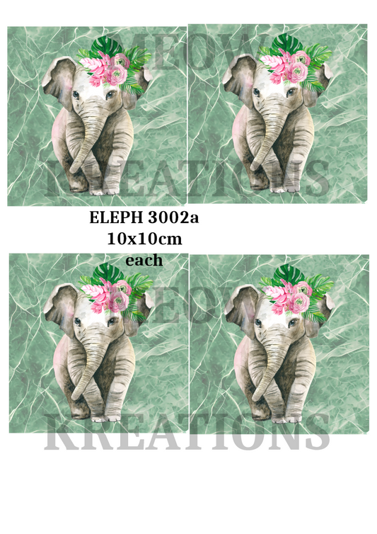 ELEPH 3002a