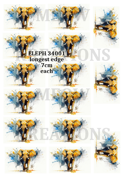 ELEPH 34001