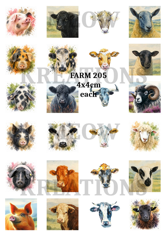 FARM 205