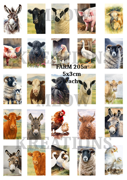 FARM 205a