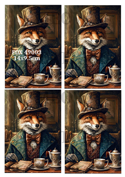 Decoupage Rice Paper – FOX 49003