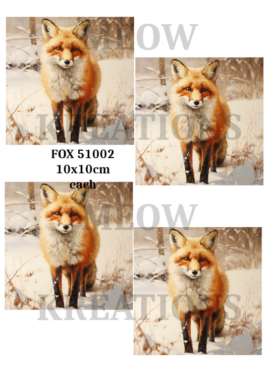 FOX 51002