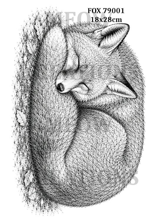 FOX 79001