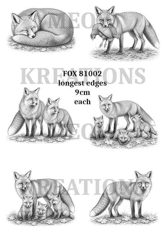 FOX 81002