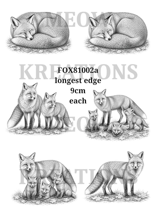 FOX 81002a