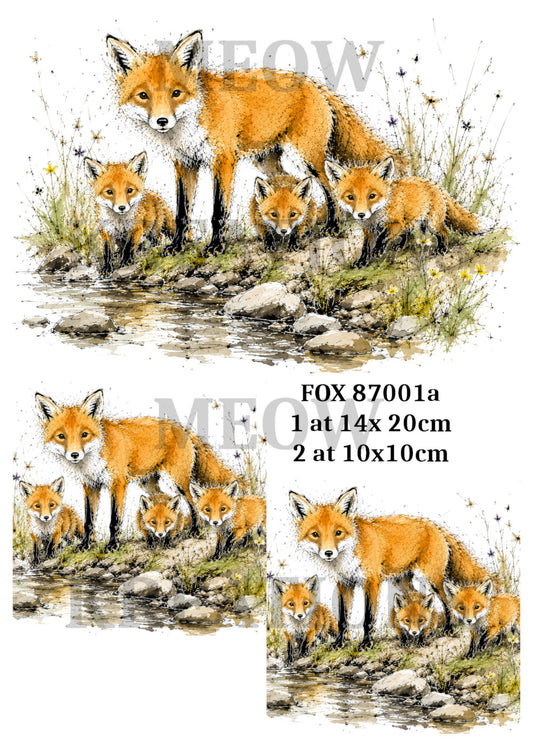 FOX 87001a