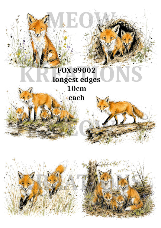 FOX 89002