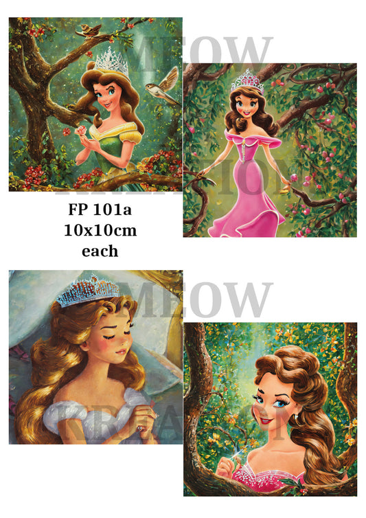 FP 101a