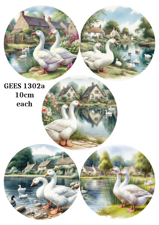 GEES 1302a