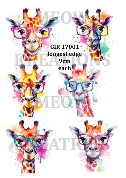 Decoupage Rice Paper –GIR 17001