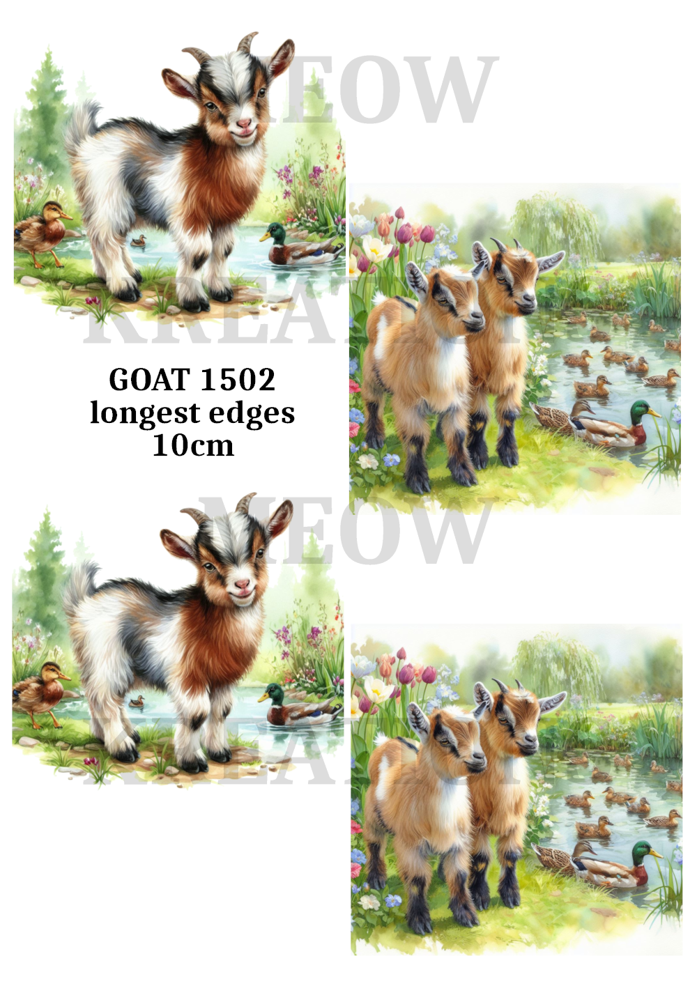 GOAT 1502