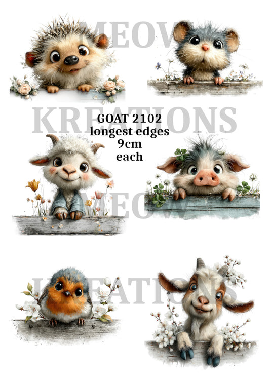 GOAT 2102