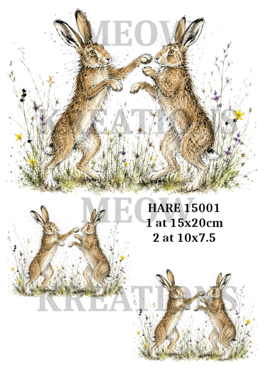 HARE 15001
