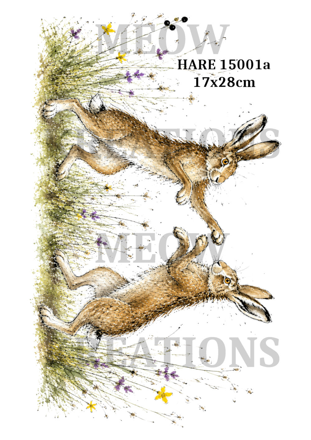 HARE 15001a