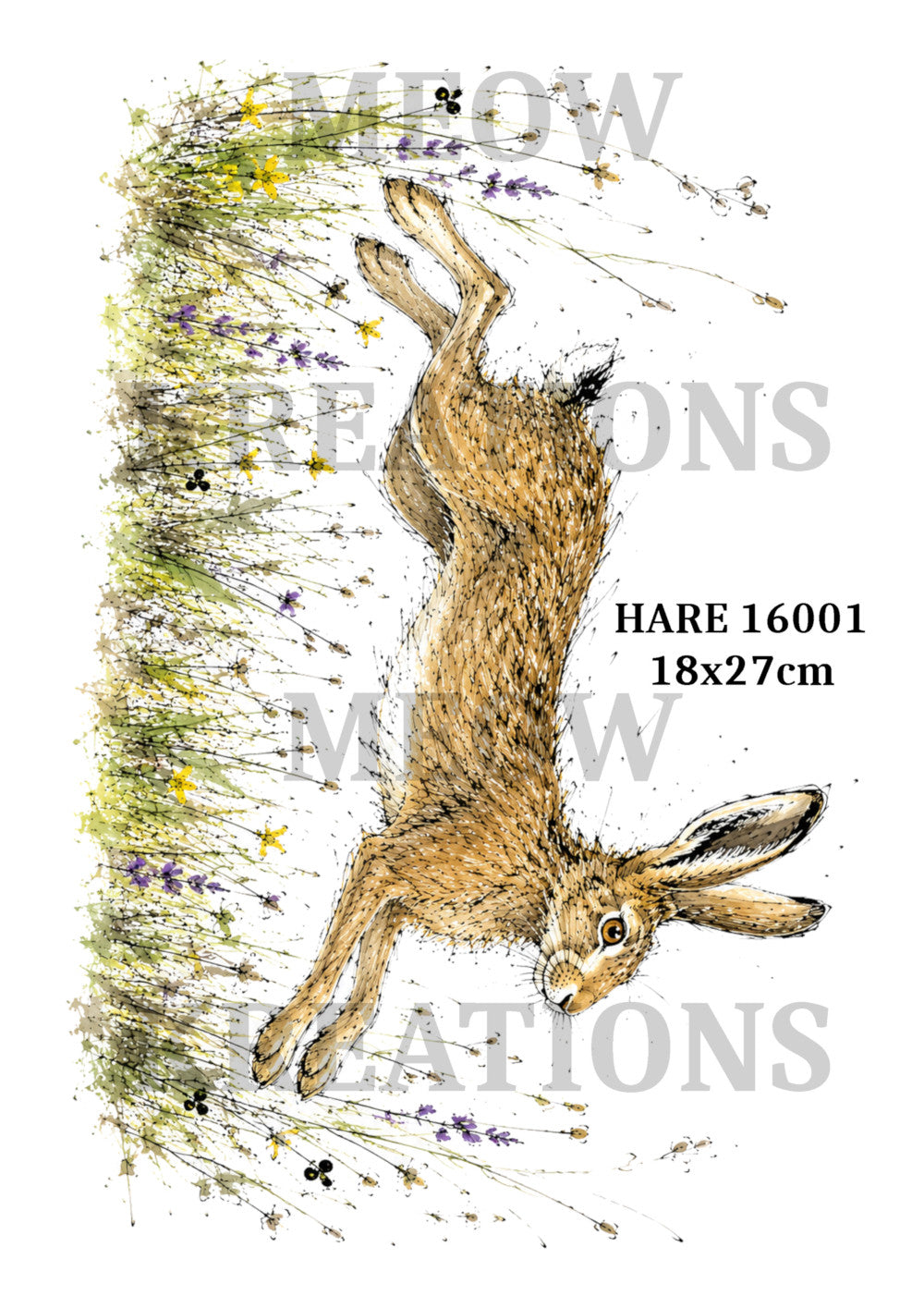 HARE 16001