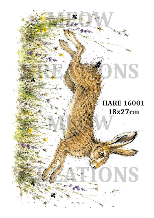 HARE 16001