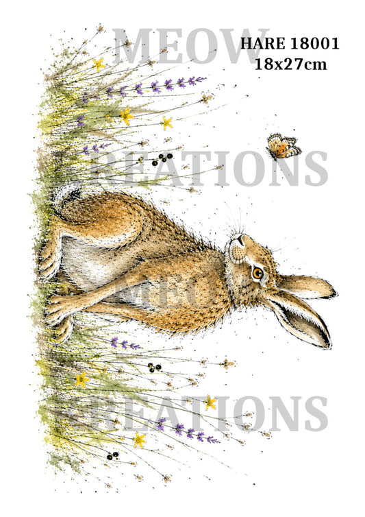 HARE 18001