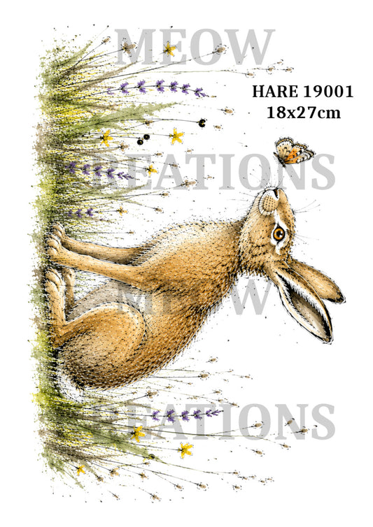 HARE 19001