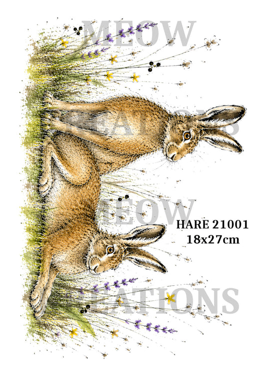 HARE 21001