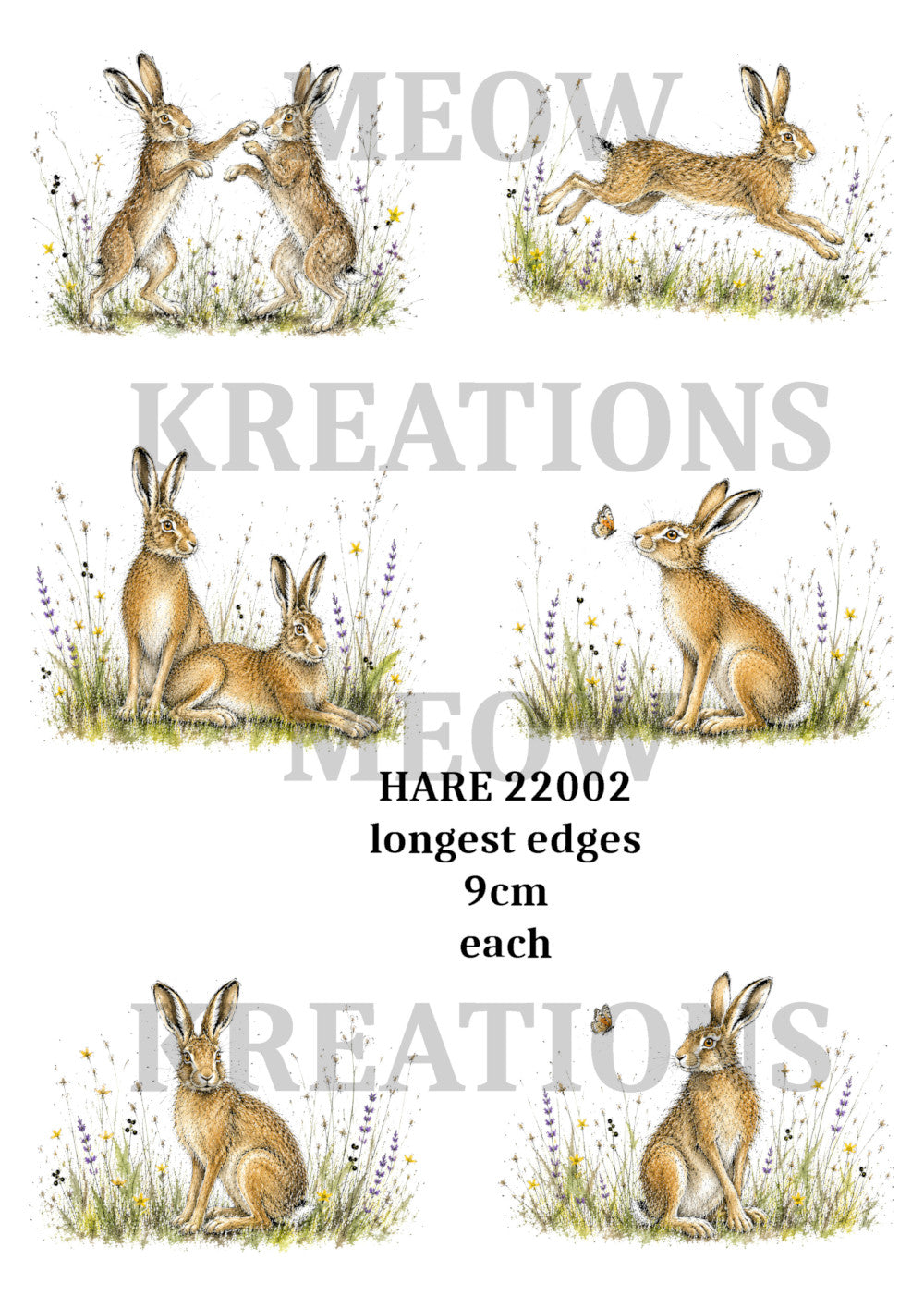 HARE 22002