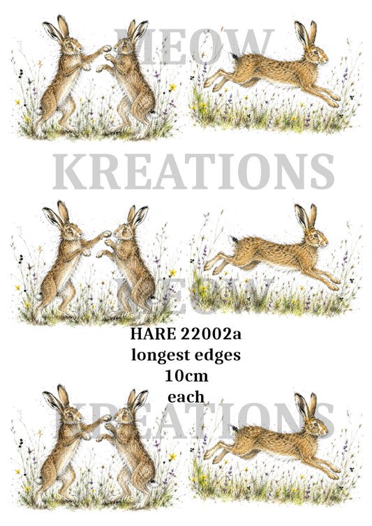 HARE 22002a
