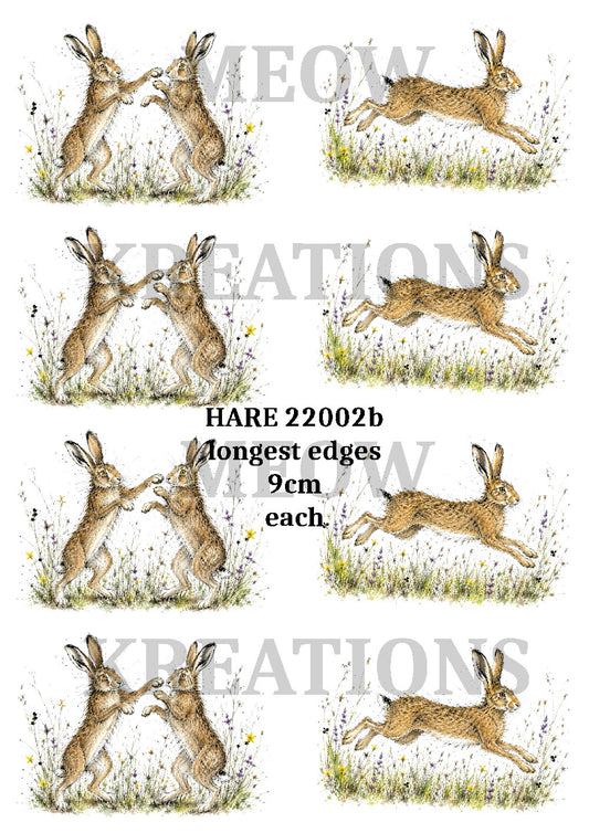 Hare in Tall Grass Decoupage Rice Paper - HARE 22002b