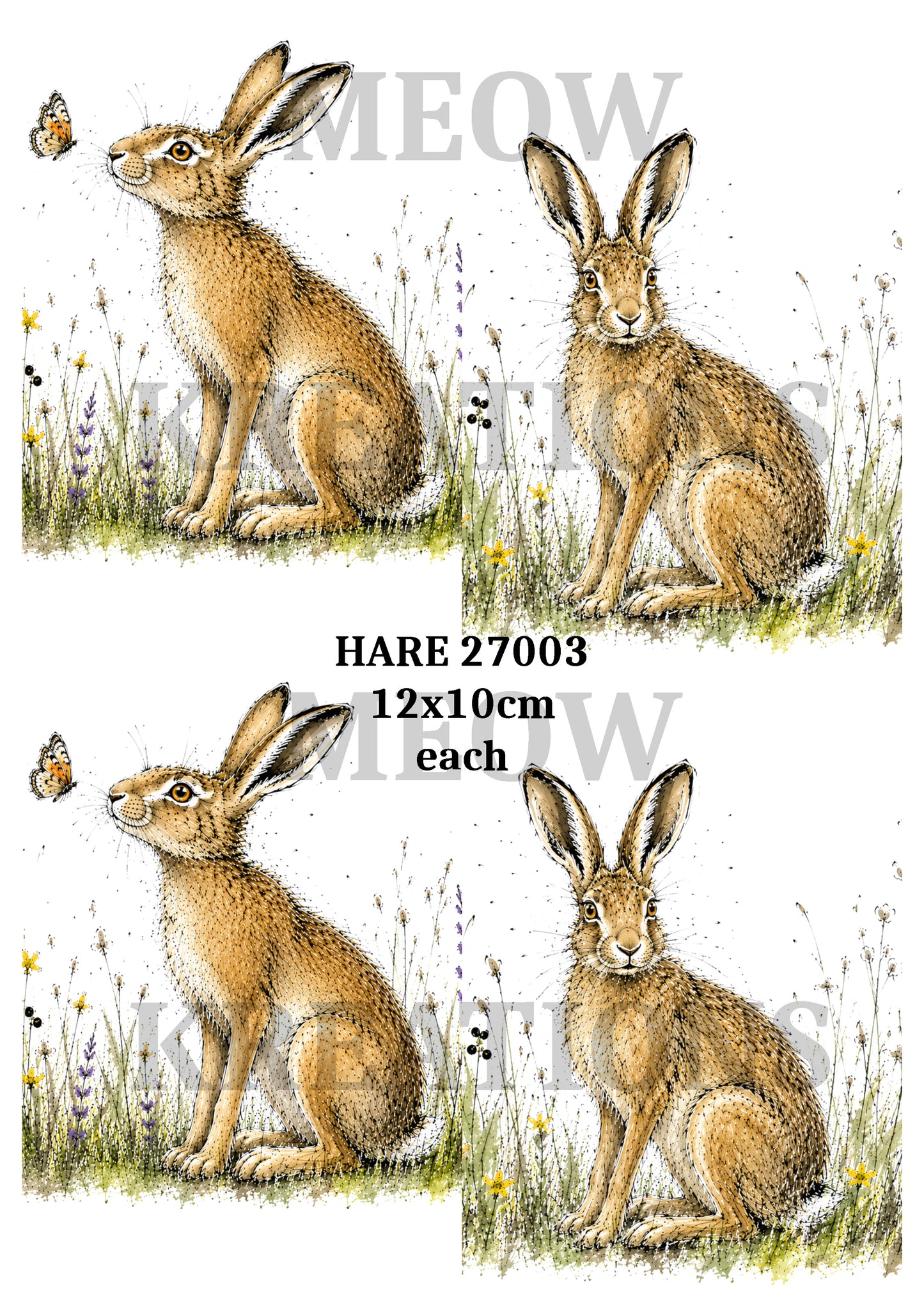 HARE 27003