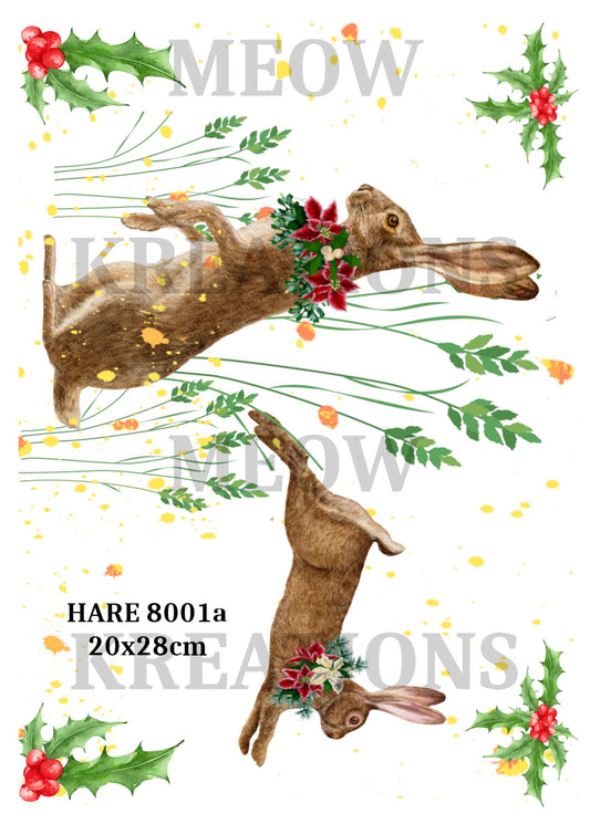 HARE 8001a