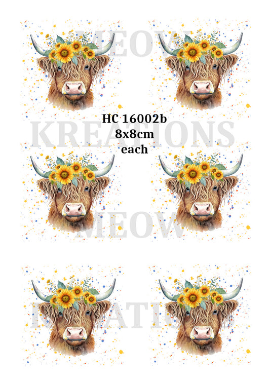 HC 16002b