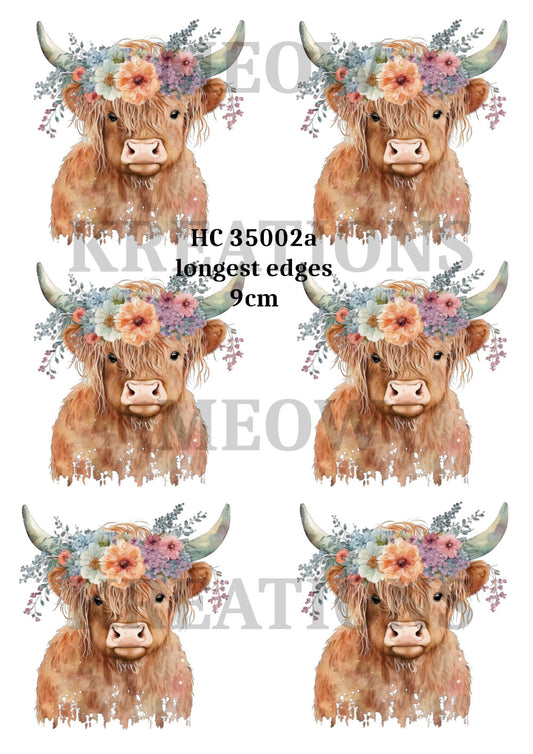 HC 35002a