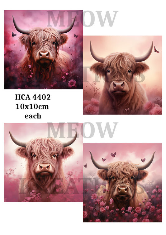 HCA 4402