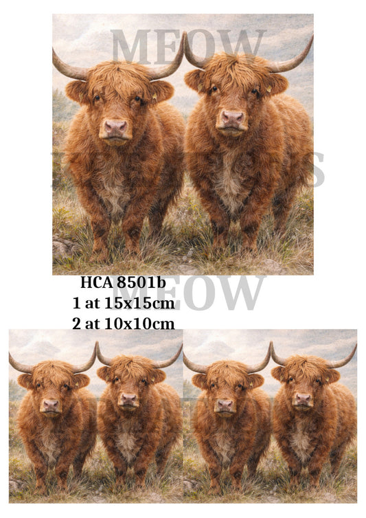 HCA 8501b