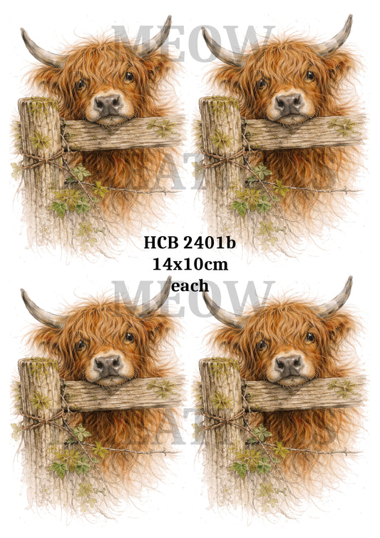 HCB 2401b