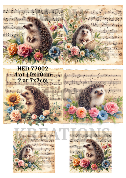 Floral Hedgehog Music Decoupage Rice Paper - HED 77002