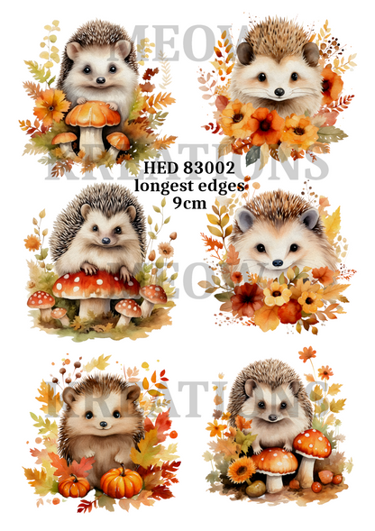 Autumn Hedgehogs Toadstools & Sunflowers Decoupage Rice Paper - HED 83002