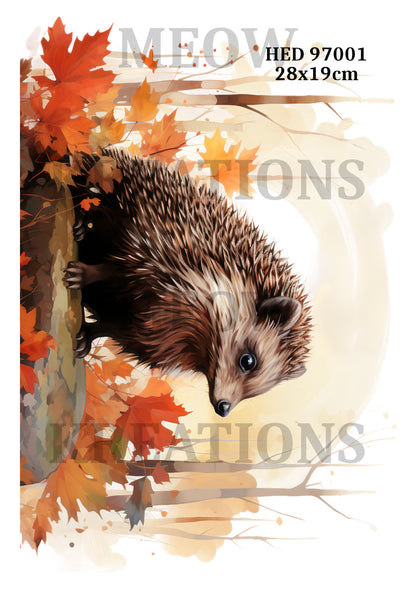 Autumn Woodland Hedgehog Decoupage Rice Paper - HED 97001
