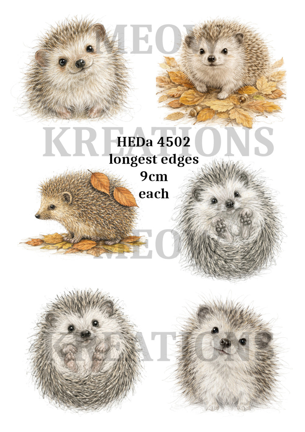 HEDa 4502