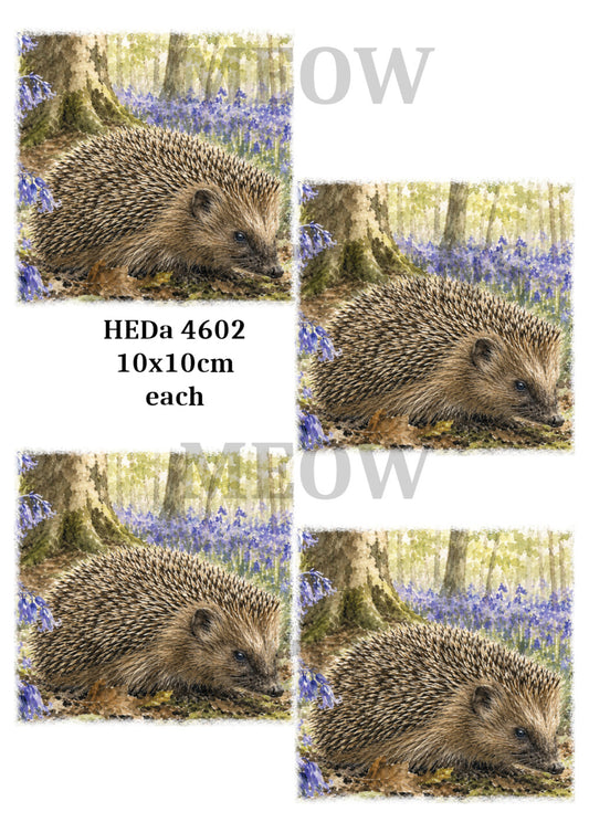 HEDa 4602