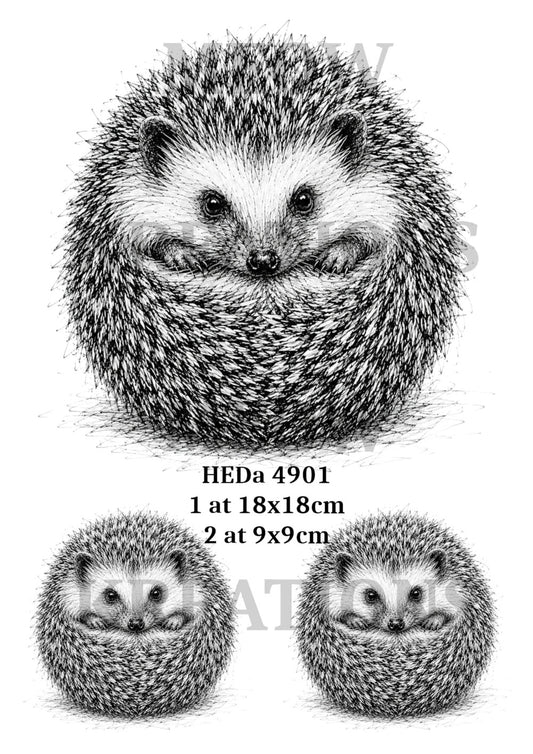 HEDa 4901