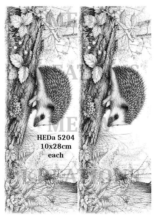 HEDa 5204