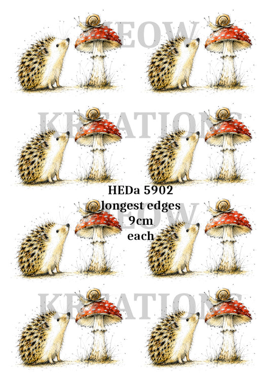 HEDa 5902
