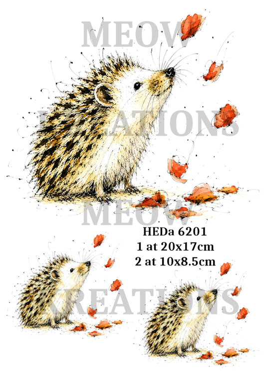 HEDa 6201