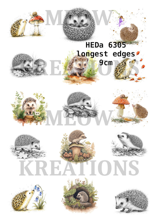 HEDa 6305