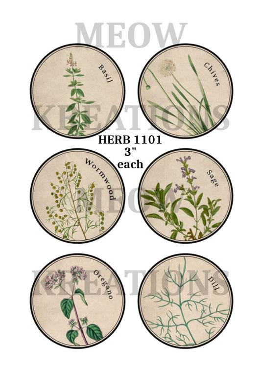 HERB 1101