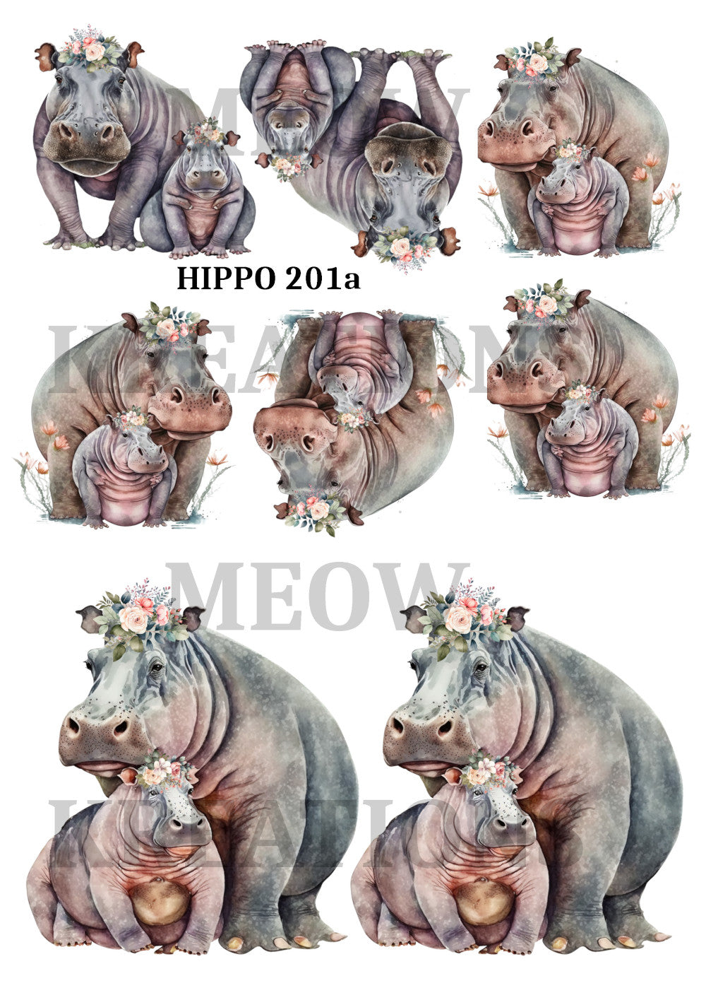 HIPPO 201a