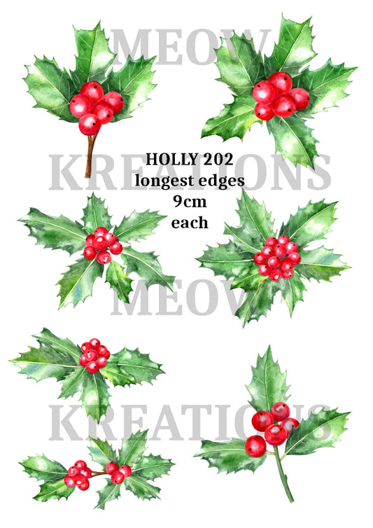 HOLLY 202