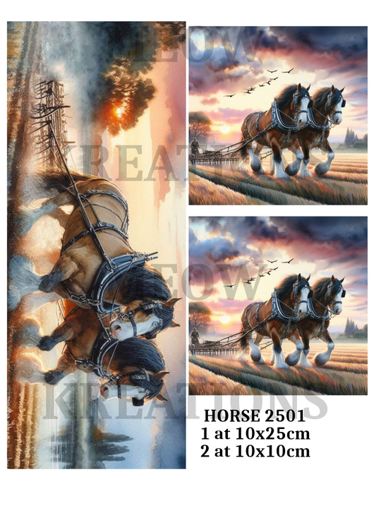 HORSE 2501